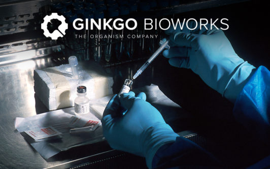 Ginkgo Bioworks Leadership Development Case Study Cover Image